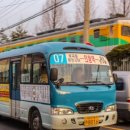 도대농장 네이버블로그