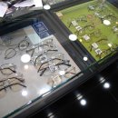 다비치안경안중터미널점 이미지