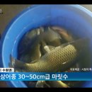 청춘실내낚시터 네이버블로그