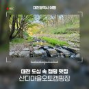 산디마을 생태공원 오토캠핑장 | 대전 도심 속 캠핑 맛집 산디마을오토캠핑장 (도시캠핑대전 박람회 소식까지)