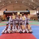 국가대표 국기태권도 이미지