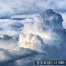 유명포장