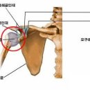 나래병원 이미지