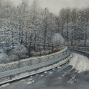 안개로가로수 이미지