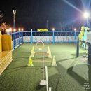 러블리펫 | 인천 영흥도 대부도 애견동반펜션 러블리펫108! 내돈내산후기