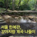 수락산계곡 | 서울 도심에서 즐기는 강아지 동반 계곡 l 수락산 벽운계곡 물놀이 후기