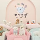 여기엇댕 이미지