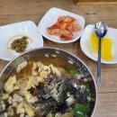 호박넝쿨 이미지