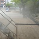 구봉초교병설 이미지