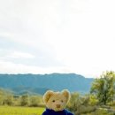 캐리 Daum카페