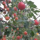 남원유통 이미지