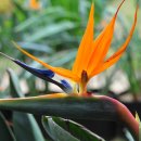 순천만풍경 이미지