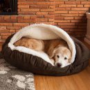 애견의 집 이미지