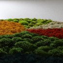 시흥경찰서어린이집 이미지