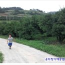 가는골농장 이미지