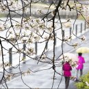 우이천변3(한일병원) 이미지