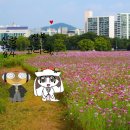 라라상사 이미지