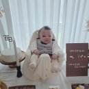 네이버스토어 은테이블 '경' 컨셉 후기! 내돈내산 백일상대여 (feat. 돌상 셀프상차림 추천)
