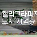 한국비주얼디자인아트협회