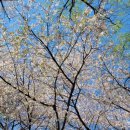 승학산 배드민턴장 이미지