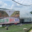 오삼~팜 이미지