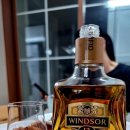 큐유흥주점 이미지