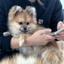 바로나도 수원영통 이미지