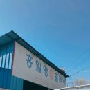 홍일영카클리닉 이미지