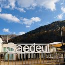 그늘막103 | 대구근교 성주감성숙소 히노끼탕 조식제공 성주새들펜션