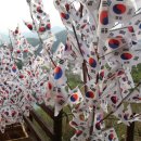 한반도산삼마을
