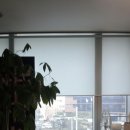 전국플라워
