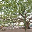 당산휴게소 이미지