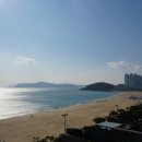 팔레드시즈 이미지