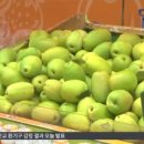몸튼튼 이미지