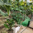 가음농장 이미지