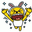 캣츠네일 이미지