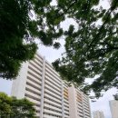 주공아파트 분리수거장 앞 이미지