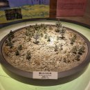 운천낚시공원 | 가고시마 사쿠라지마 화산 전망대 렌트카 여행 feat. 포토존