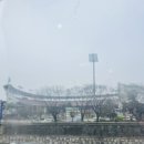 광주 임동 기아 챔피언스필드 맛집 알찬 점심특선 연탄 불고기정식 김치찌개 잘돼지연탄구이