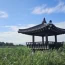 안심2농로 이미지