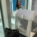 삼산평생동물병원 이미지