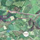 제주 마로 이미지