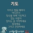 a5. 바울의 삶의 목표 (고후13:5; 갈 2:20) 이미지