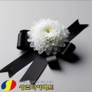 더다이렉트