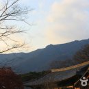 양산시종합관광안내소 이미지