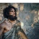 더메디칼 이미지