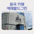 원곡1로 | 원곡 카페 에메랄드그린 - 초록빛 휴식과 시그니처 음료 솔직 후기
