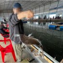 황산초지사계절바다낚시터 | 황산초지바다낚시터, 아무 장비나 들고 가면 안 되는 이유 솔직히 말할게요