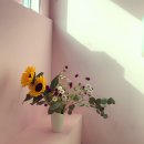한예종영재발레학원 이미지