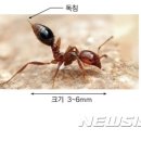 선광방제